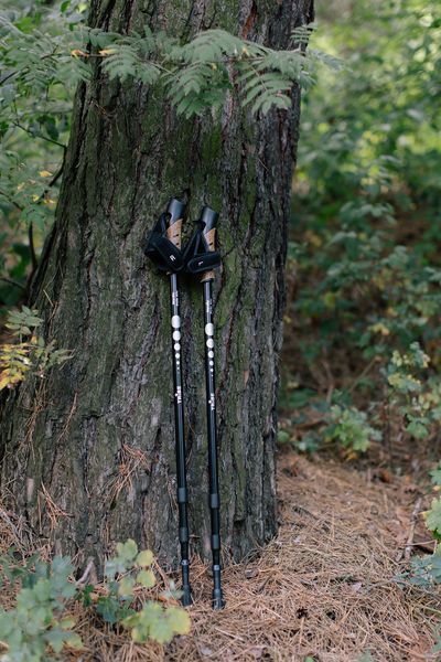 Палиці для скандинавської ходьби Tribe Nordic Pole Alu T-ME-0022-white T-ME-0022-white фото