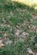 Намет Tramp Brest 4 (V3) UTRT-110-olive UTRT-110-olive фото 30