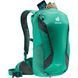 Рюкзак DEUTER Race X 12 колір 2437 fern-graphite 3204221 2437 фото 9