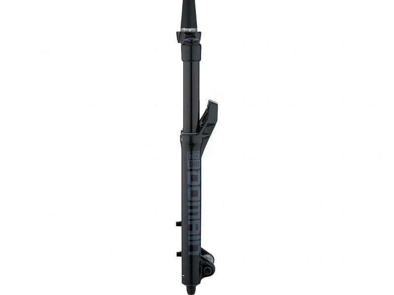 Вилка RockShox Domain RC - Crown 29" Boost&trade; 15x110 170mm Black Alum Str Tpr 44offset DebonAir (includes ZipTie Fender, Star nut & Maxle Stealth) B1 00.4020.707.005 фото