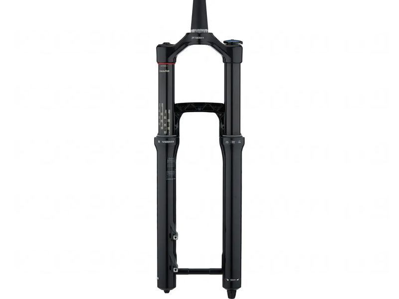 Вилка RockShox Domain RC - Crown 29" Boost&trade; 15x110 170mm Black Alum Str Tpr 44offset DebonAir (includes ZipTie Fender, Star nut & Maxle Stealth) B1 00.4020.707.005 фото