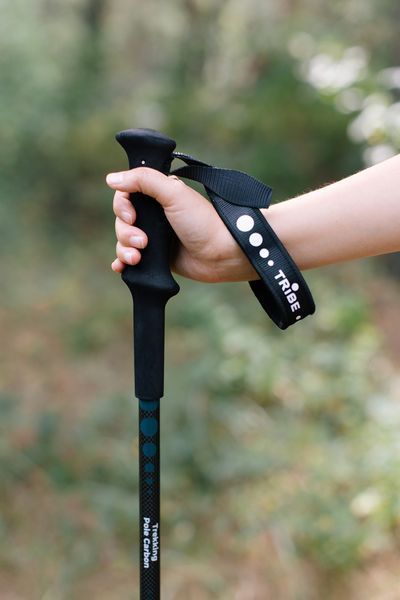 Трекінгові палиці Tribe Trekking Pole Carbon T-ME-0027-ocean T-ME-0027-ocean фото