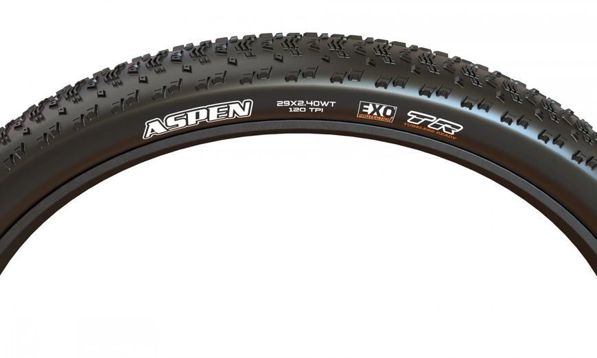 Покришка MAXXIS ASPEN 29X2.25 TPI-120 Foldable MaxxSpeed/EXO/TR ETB00464800 фото
