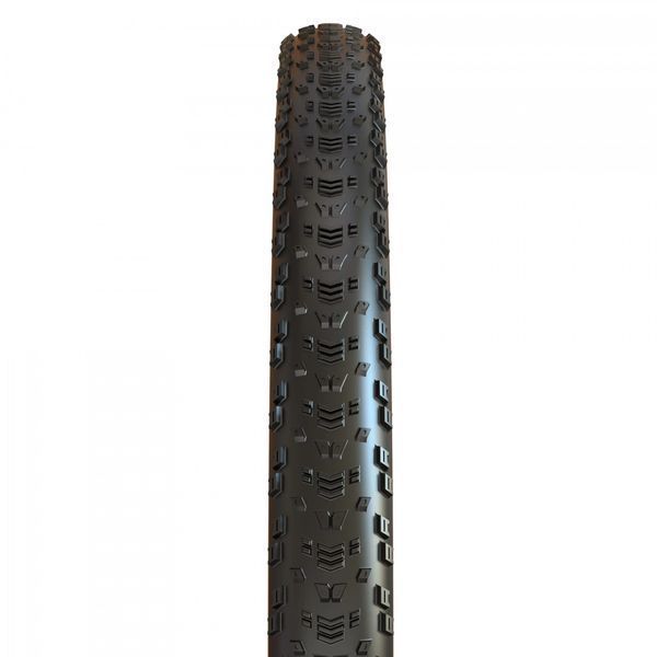 Покришка MAXXIS ASPEN 29X2.40WT TPI-120 Foldable EXO/TR ETB00211500 фото