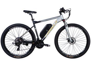Велосипед з електроприводом 29" AL Formula eF-1 DD CS рама-21" 48B 12.5А*г 500Вт сріблясто-чорний 2026 ELB-FR-29-254 фото