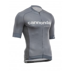 Джерси Cannondale кор. рукав, мужское, серое, L