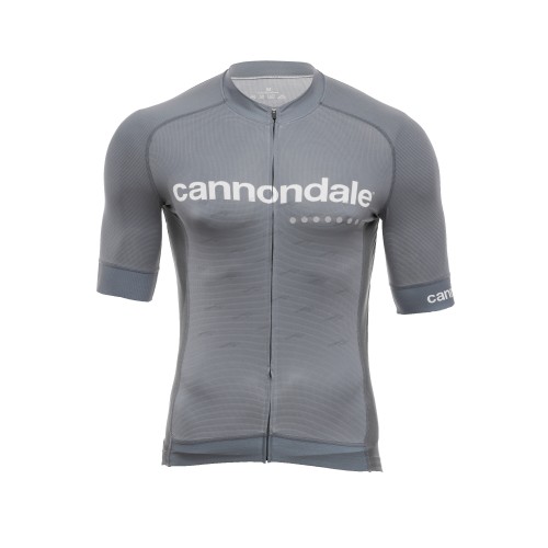 Джерси Cannondale кор. рукав, мужское, серое, L