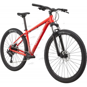 Велосипед 29" Cannondale TRAIL 5 рама - M 2022 RRD