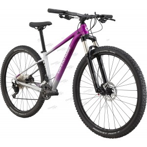 Велосипед 29" Cannondale TRAIL SL 4 Feminine рама - S 2022 PUR