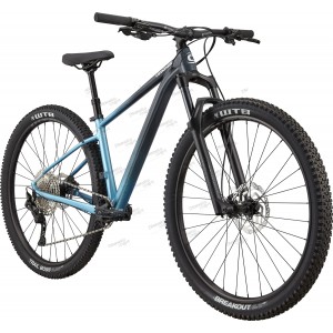 Велосипед 29" Cannondale TRAIL SE 3 Feminine рама - S 2022 SLT