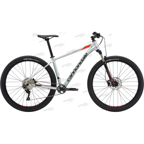 Велосипед 29" Cannondale TRAIL 4 рама - L 2019 SGG серый