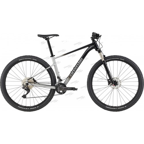 Велосипед 29" Cannondale TRAIL SL 4 рама - S 2022 GRY