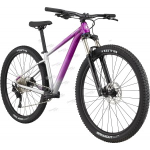 Велосипед 29" Cannondale TRAIL SE 4 Feminine рама - L 2022 PUR