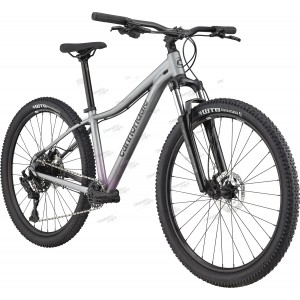 Велосипед 29" Cannondale TRAIL 5 Feminine рама - L 2022 LAV