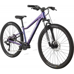 Велосипед 26" Cannondale TRAIL 2022 PRH OS