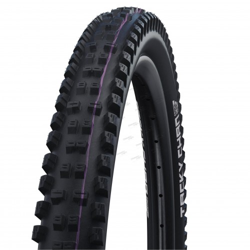 Покрышка 29x2.40 (62-622) Schwalbe TACKY CHAN Evo, Super Gravity, TLE B/B-SK HS625 ADDIX Ultra Soft 67EPI B